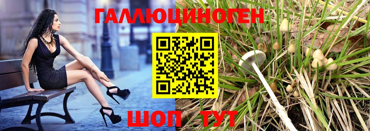 закладки  Вход с VPN  Галлюциногенные грибы Psilocybe  Гуково  Псилоцибиновые грибы Psilocybe 