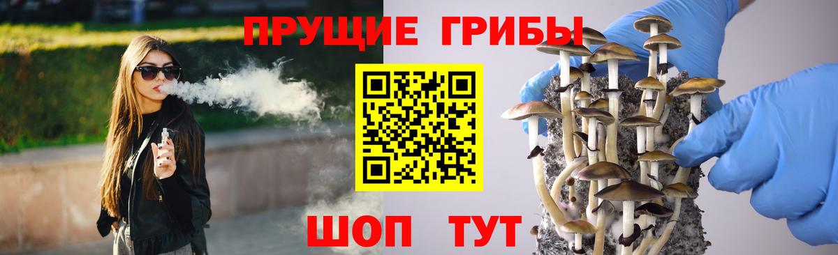 Псилоцибиновые грибы ЛСД Гуково